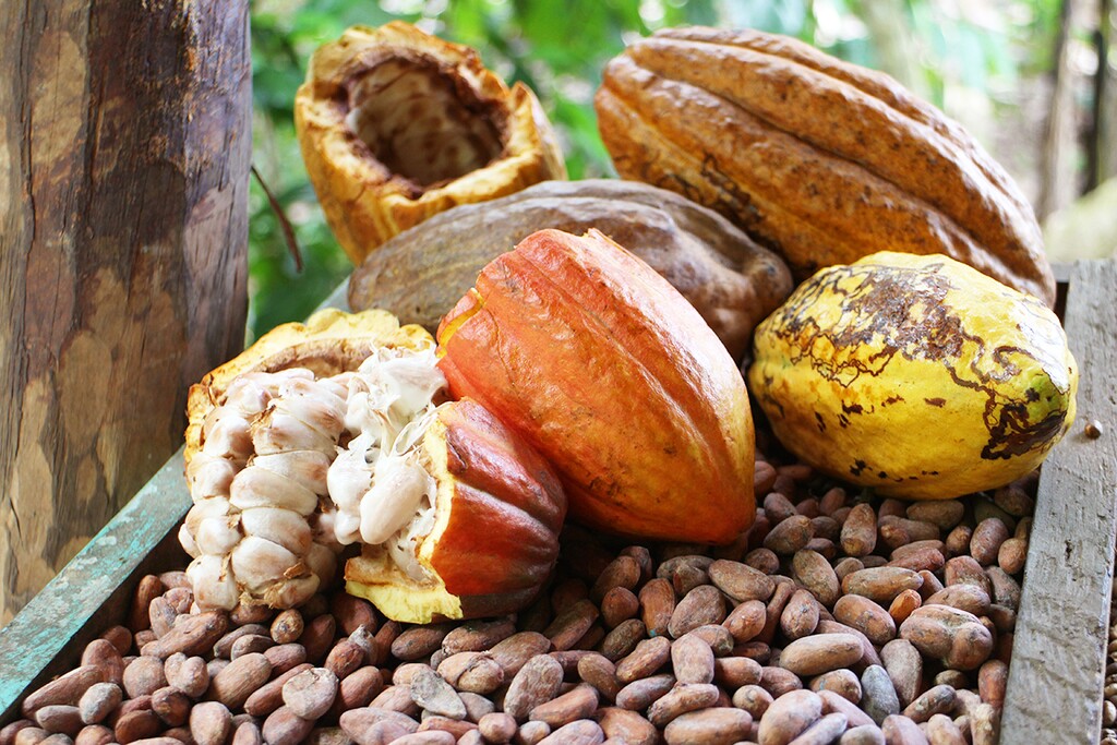 Het eten in Punta Cana is geweldig